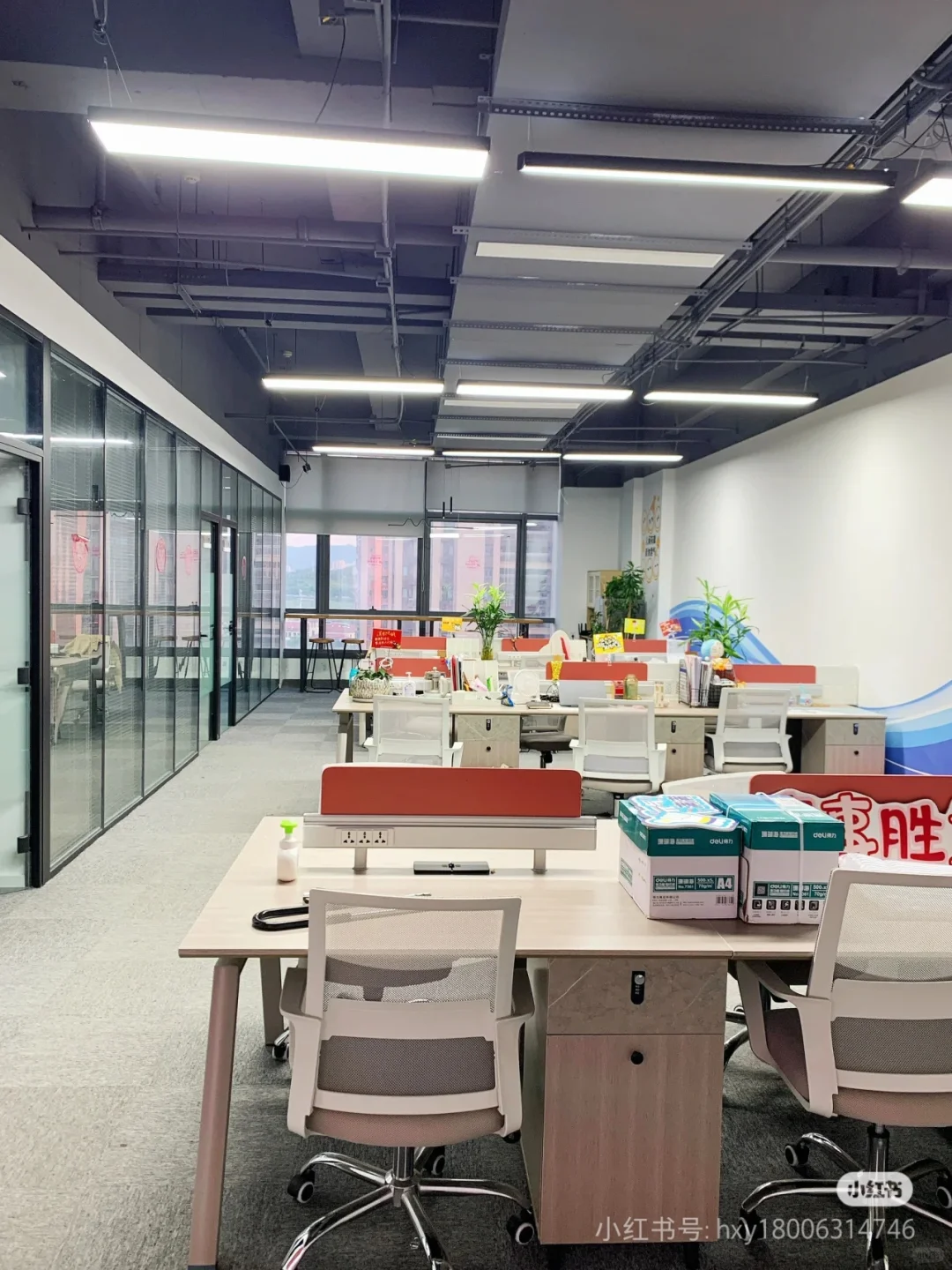 青岛我们招人啦!