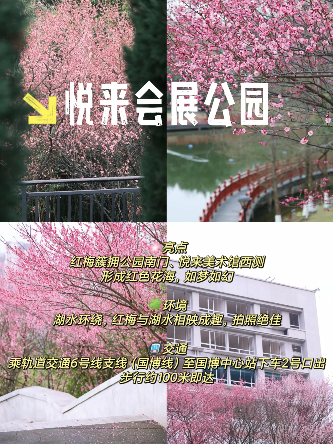 重庆赏梅攻略来啦！春日花海等你打卡🌺