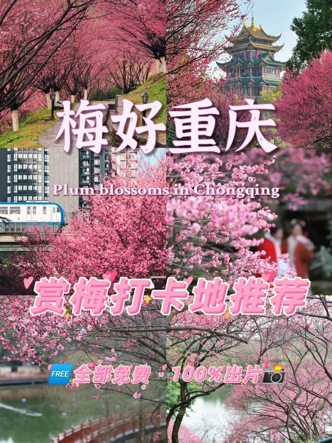 重庆赏梅攻略来啦！春日花海等你打卡🌺