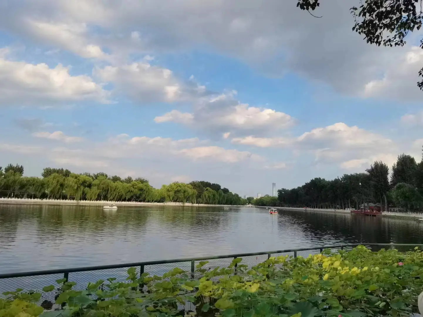 事业单位招聘前台