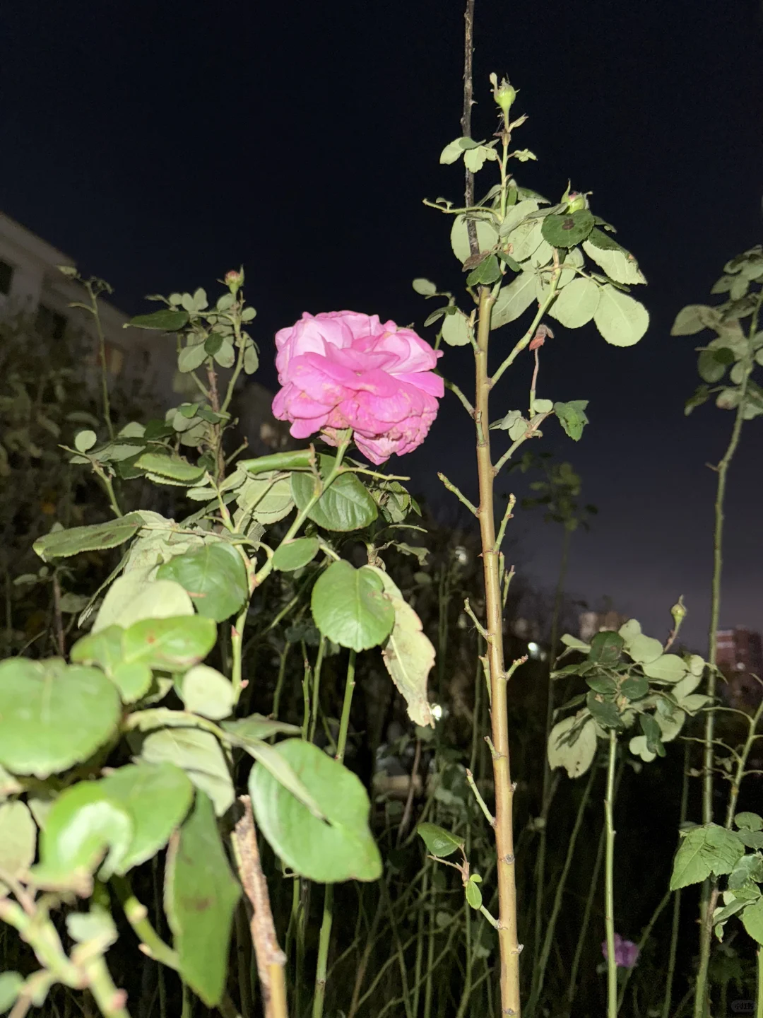 求职省政府附近的文员，五险