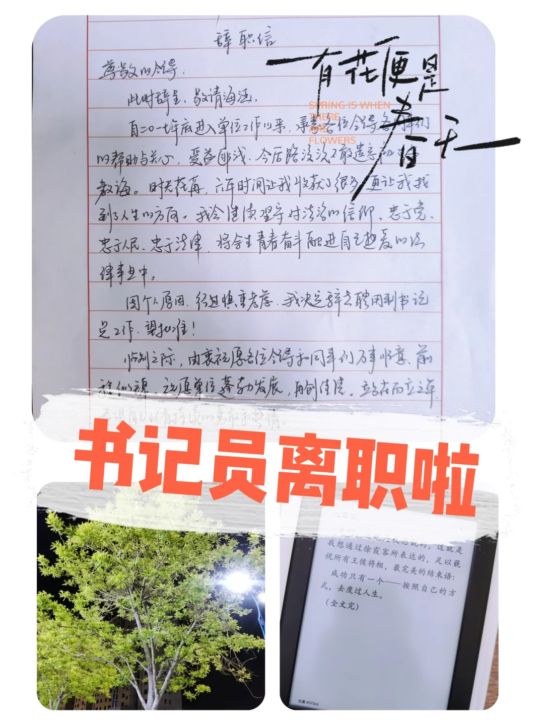 31岁省聘书记员辞职能干嘛？