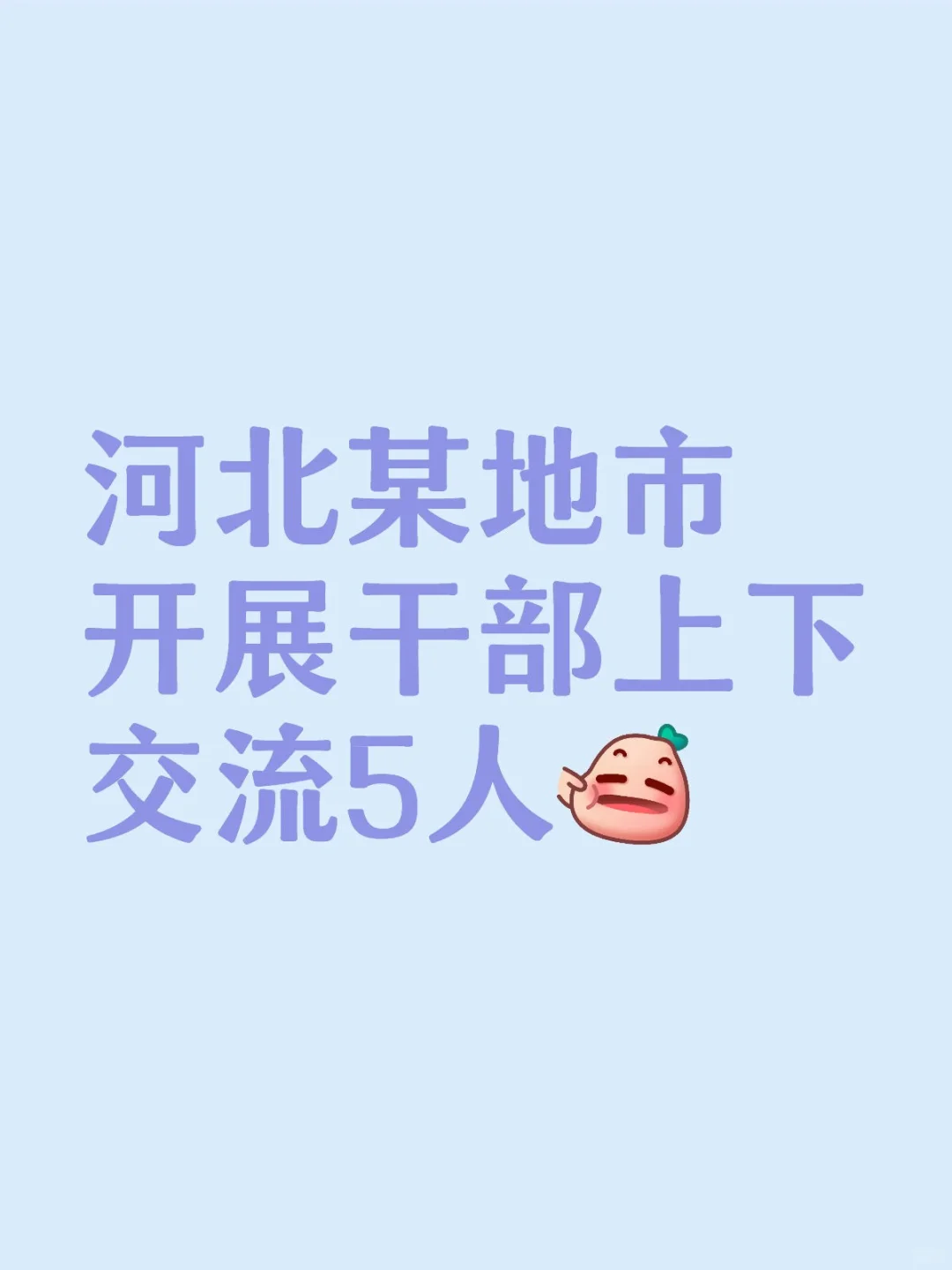 河北某地市开展干部上下交流5人