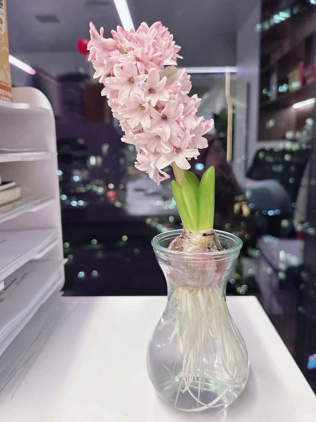 招聘跨境电商运营