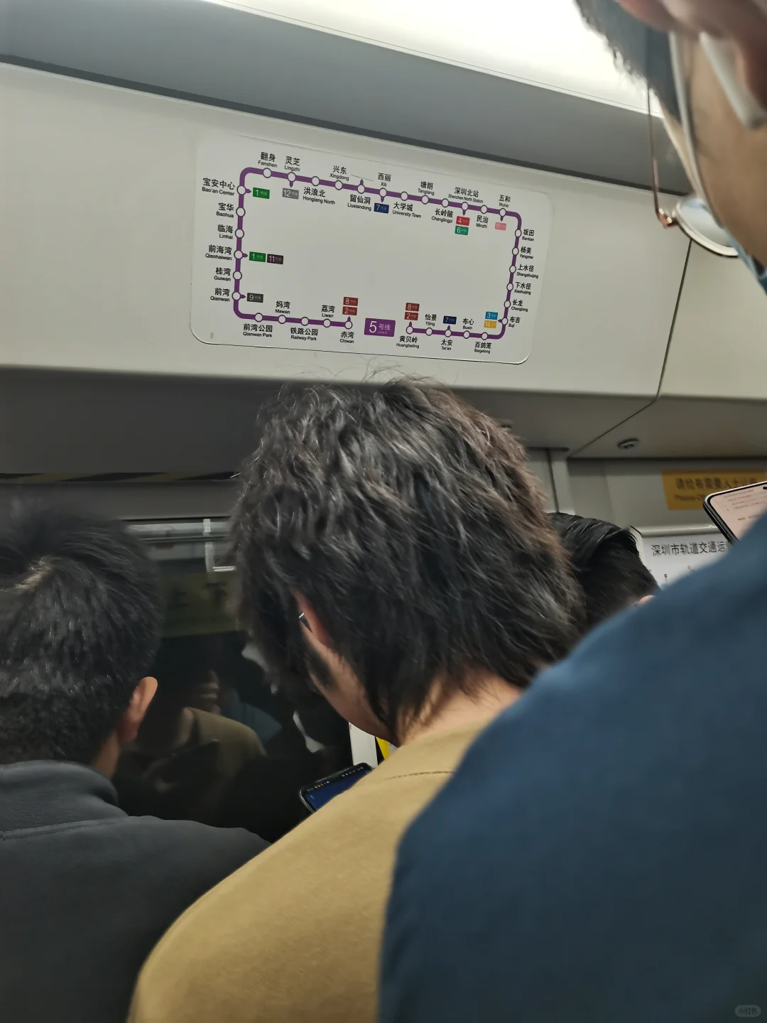 深圳南山区招聘会