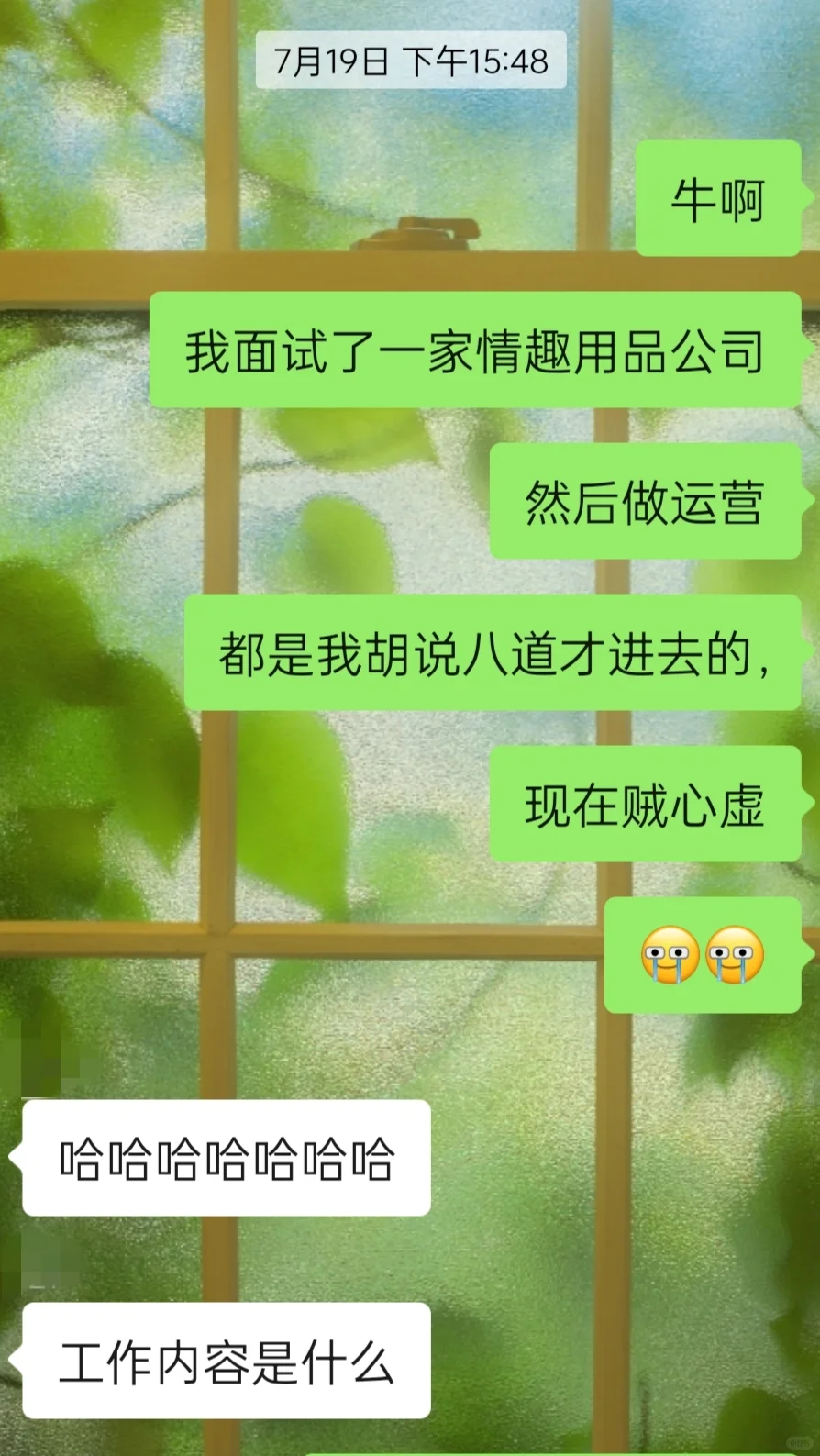 关于我胡说八道面试进了成人用品公司