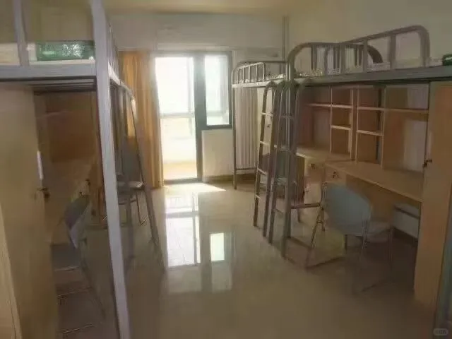 新的一年又开始了当牛马的一天又开始了