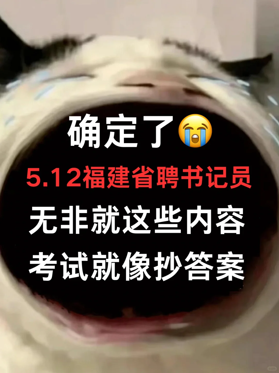 省聘书记员剩14天，玩吧，反正考试重复率85%