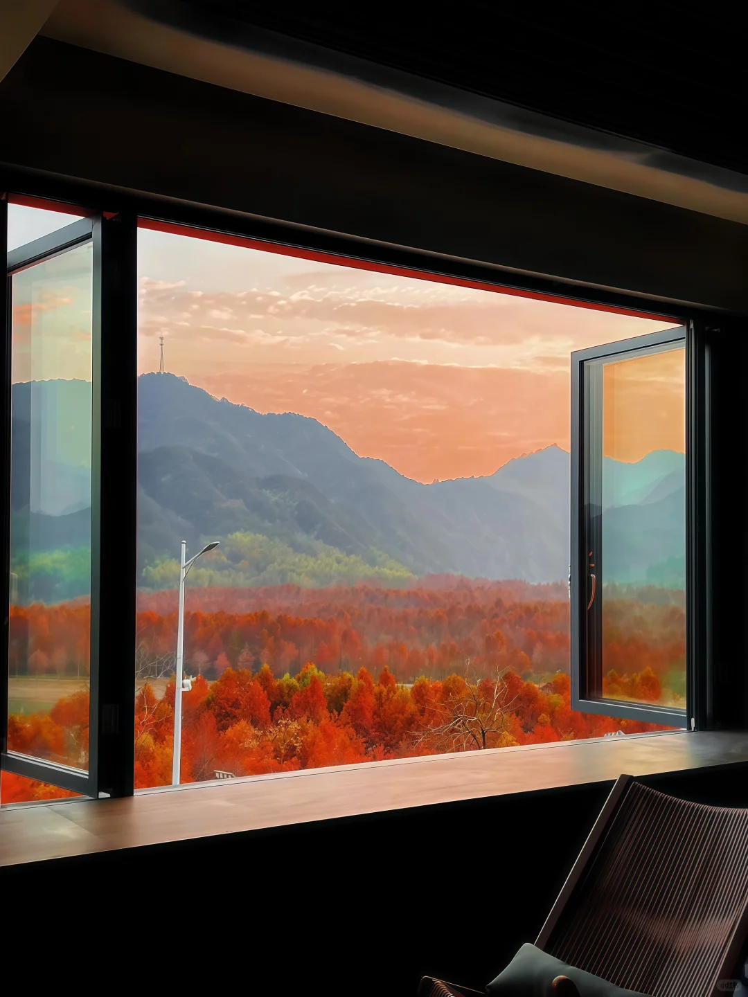 红透了❗️家门口这片红杉林足以让我惊艳❗️