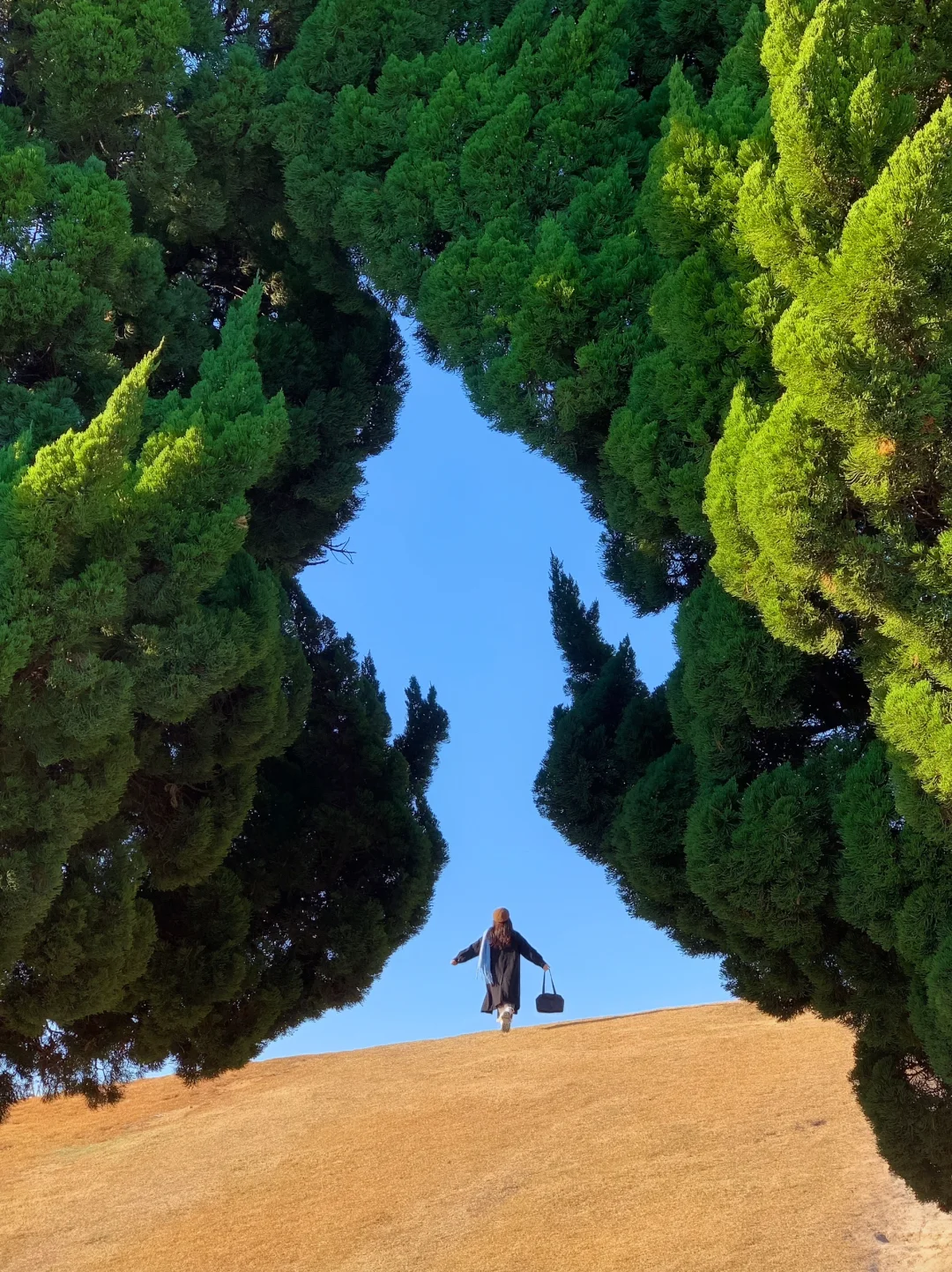 就为了这18张Live图🌲我来了趟淡季的青岛！！