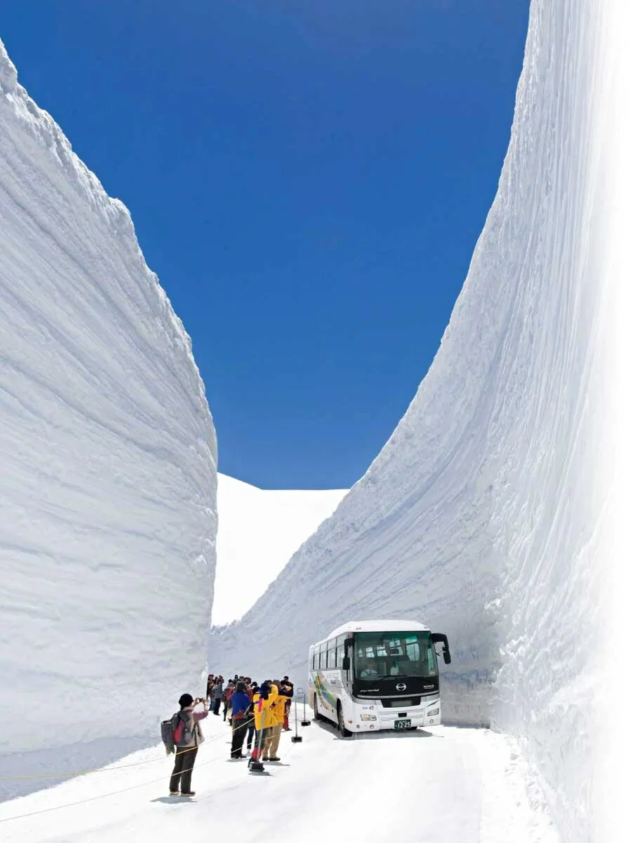四月来日本除了赏樱，还可以去这里...👇👇