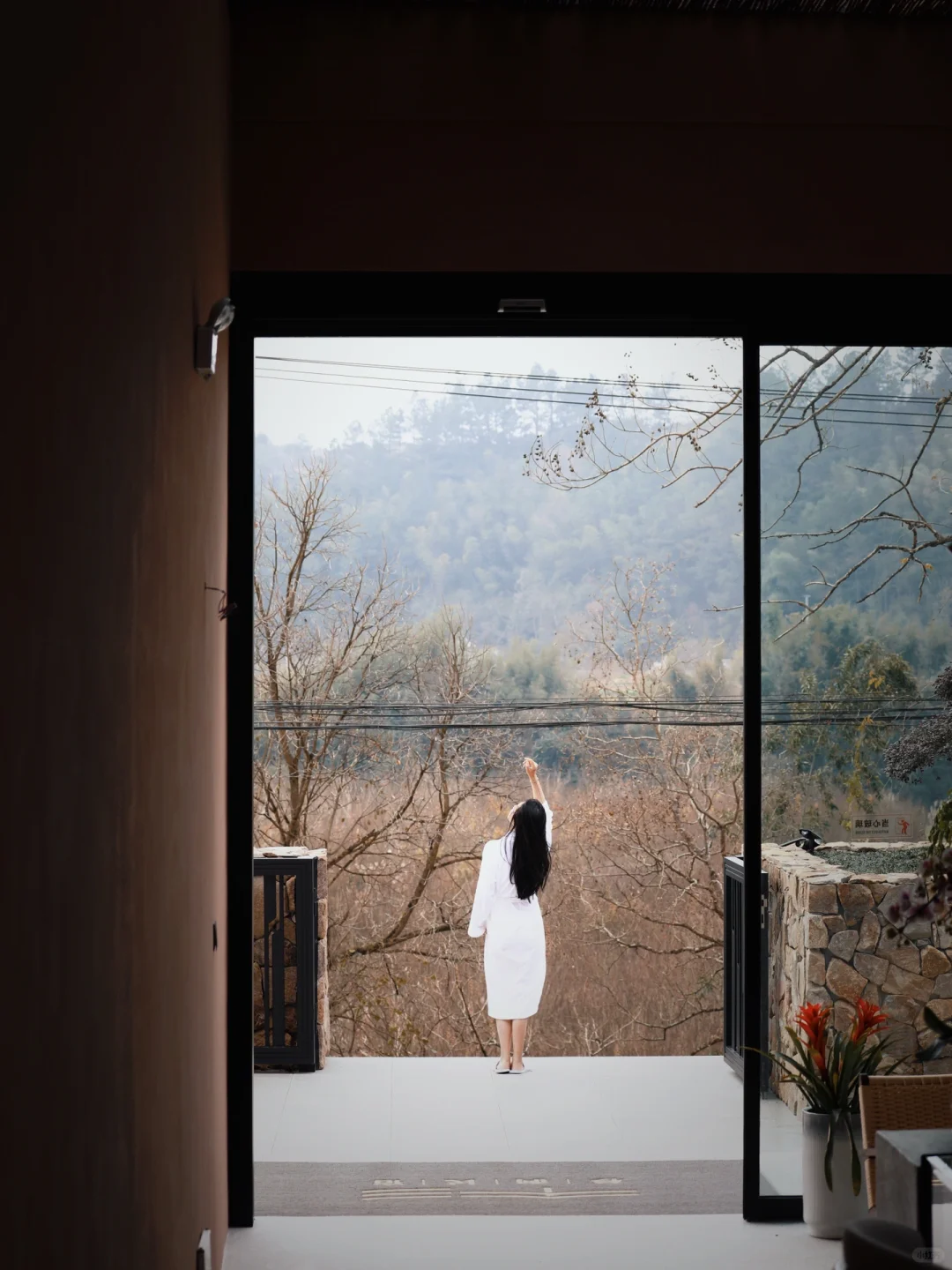 红透了❗️家门口这片红杉林足以让我惊艳❗️