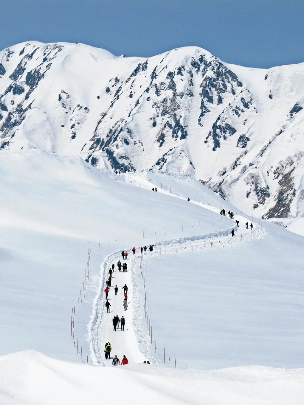 四月来日本除了赏樱，还可以去这里...👇👇