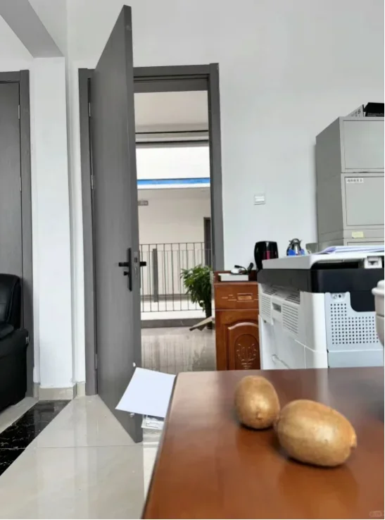 水硕混进高校行政岗，给大家说点不知道的