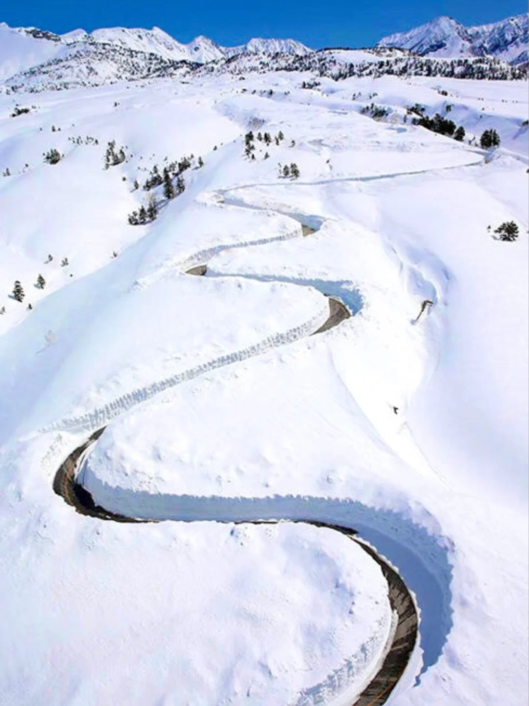 四月来日本除了赏樱，还可以去这里...👇👇