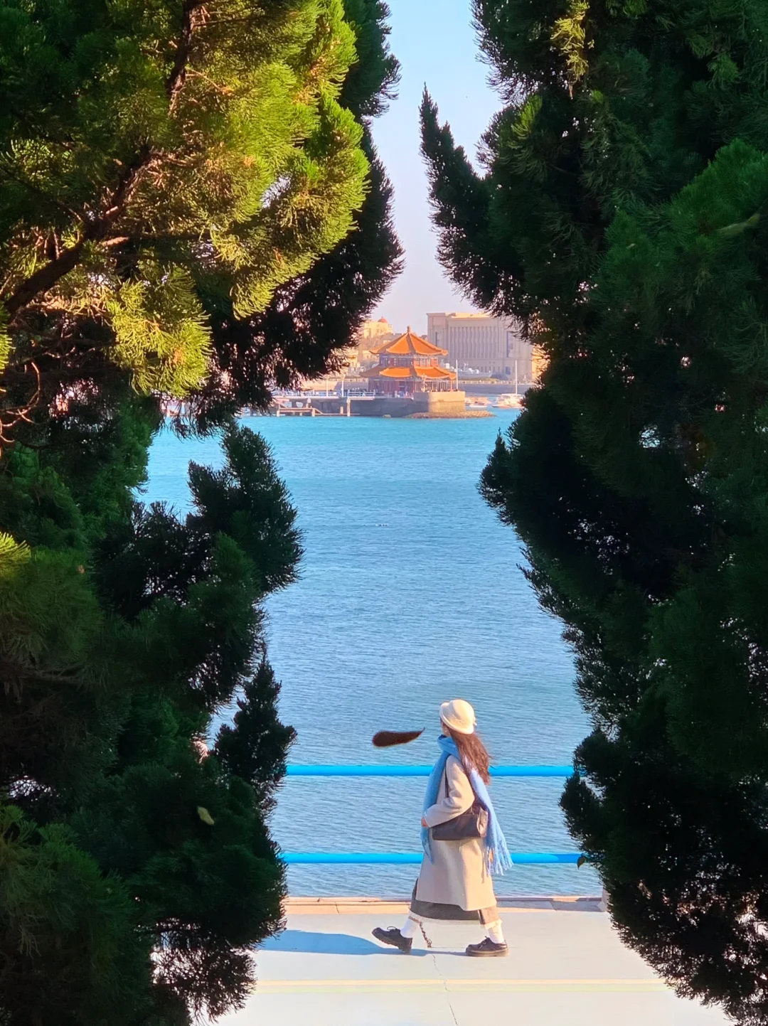 就为了这18张Live图🌲我来了趟淡季的青岛！！