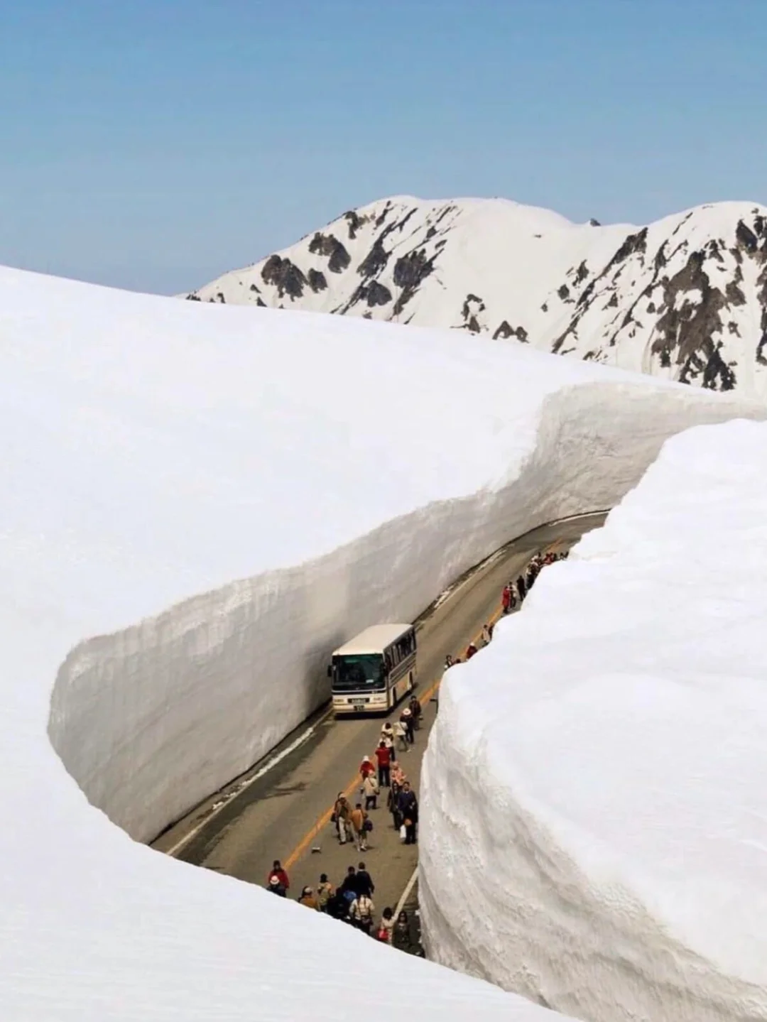 四月来日本除了赏樱，还可以去这里...👇👇