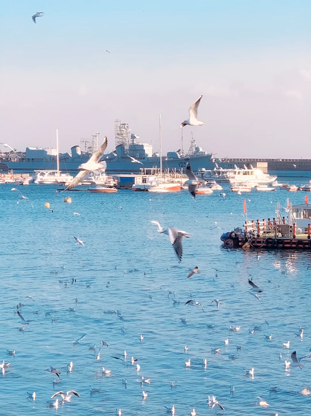 就为了这18张Live图🌲我来了趟淡季的青岛！！