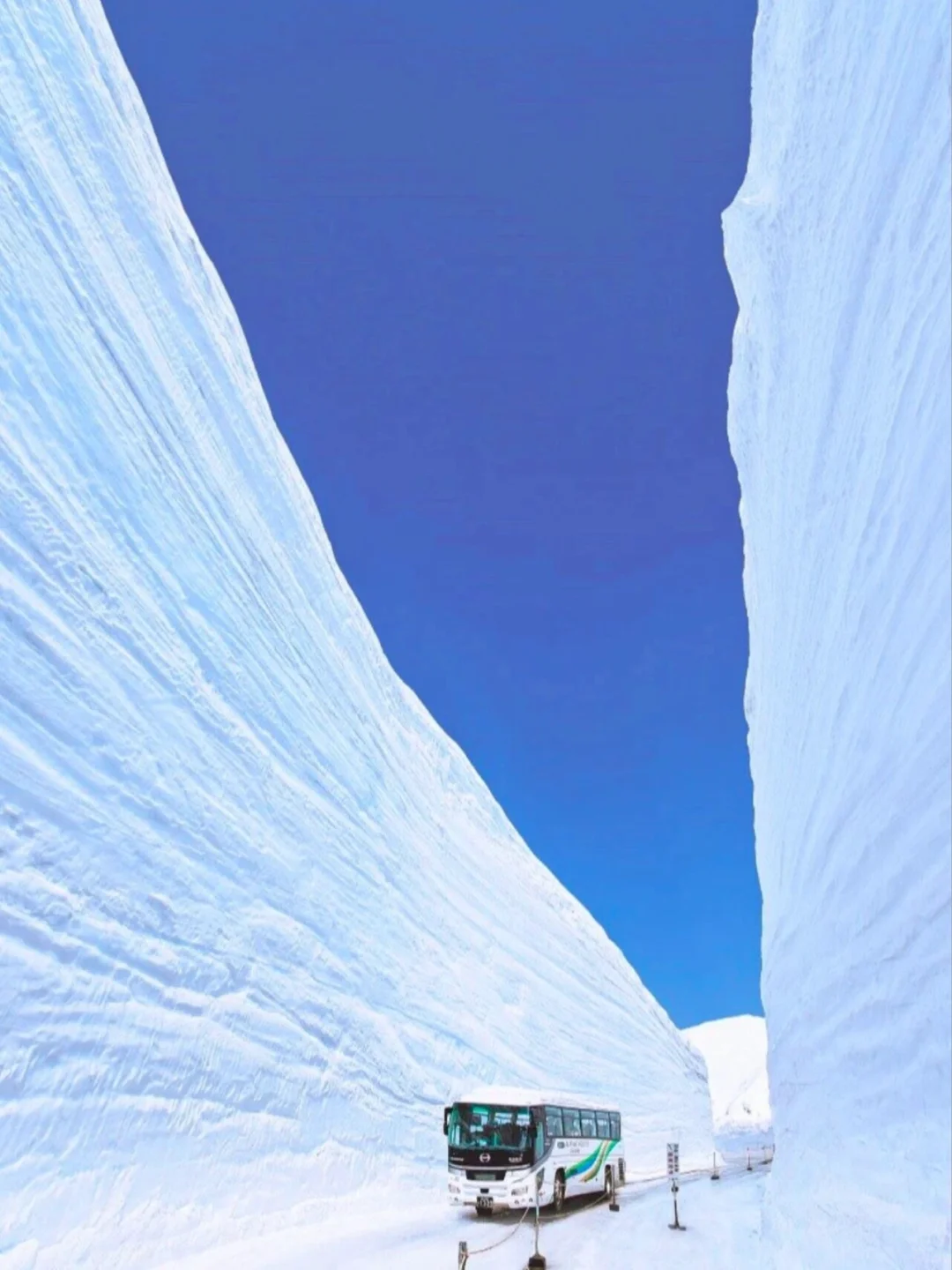 四月来日本除了赏樱，还可以去这里...👇👇