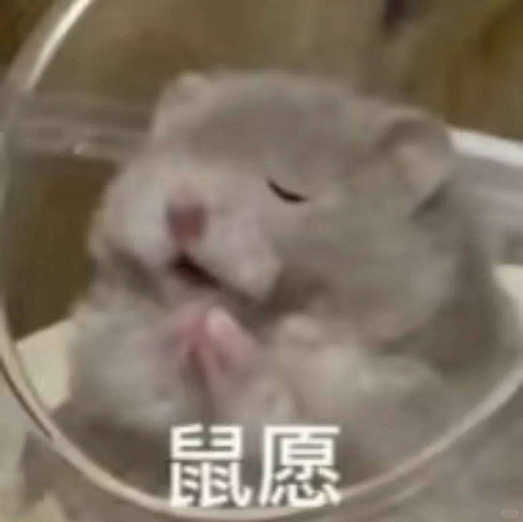 不知道报311还是333的考研教育学er进来！