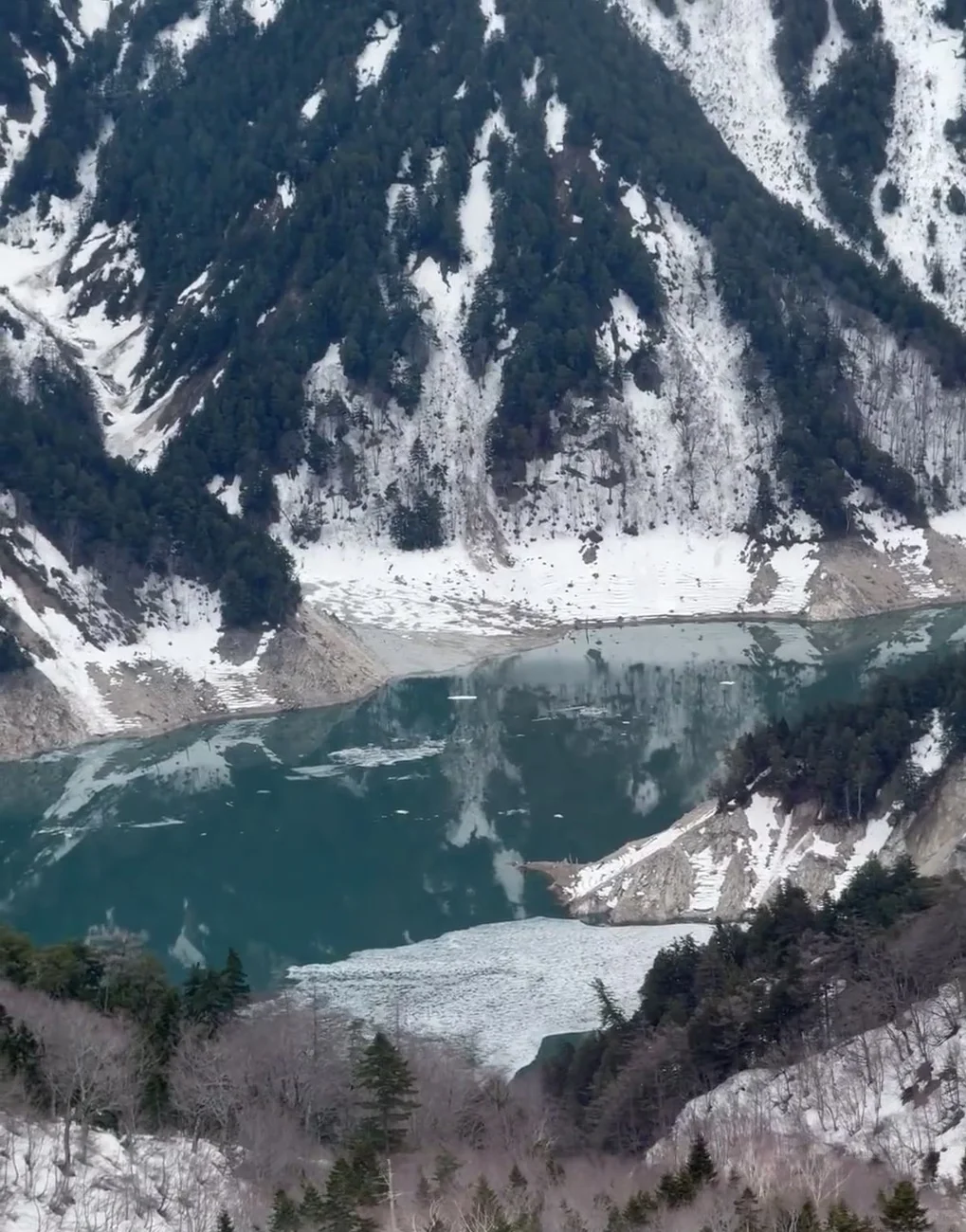 四月来日本除了赏樱，还可以去这里...👇👇