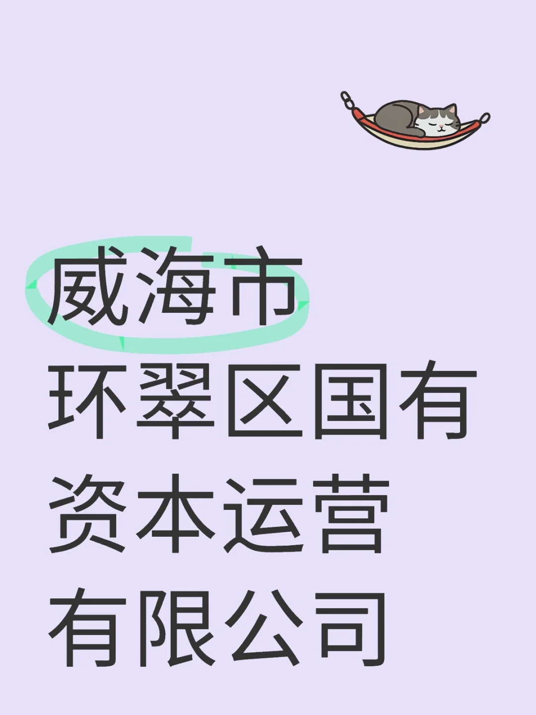 威海市环翠区国有资本有限公司