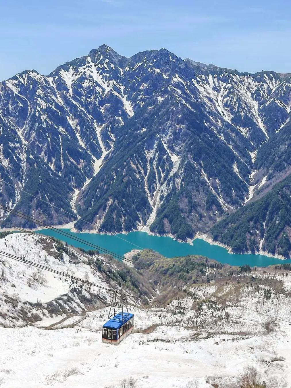 四月来日本除了赏樱，还可以去这里...👇👇