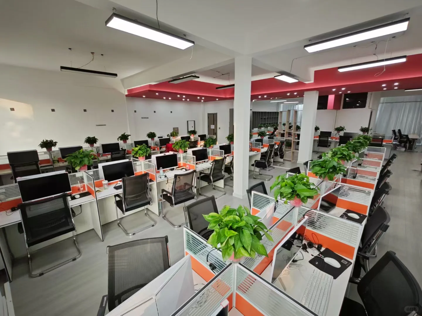 上市企业内部客服，年后开招啦