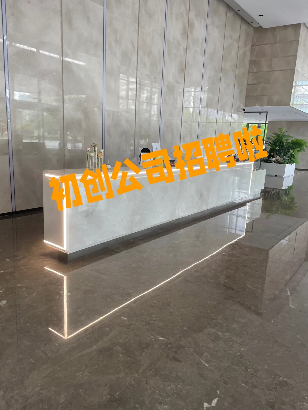 初创公司招聘了