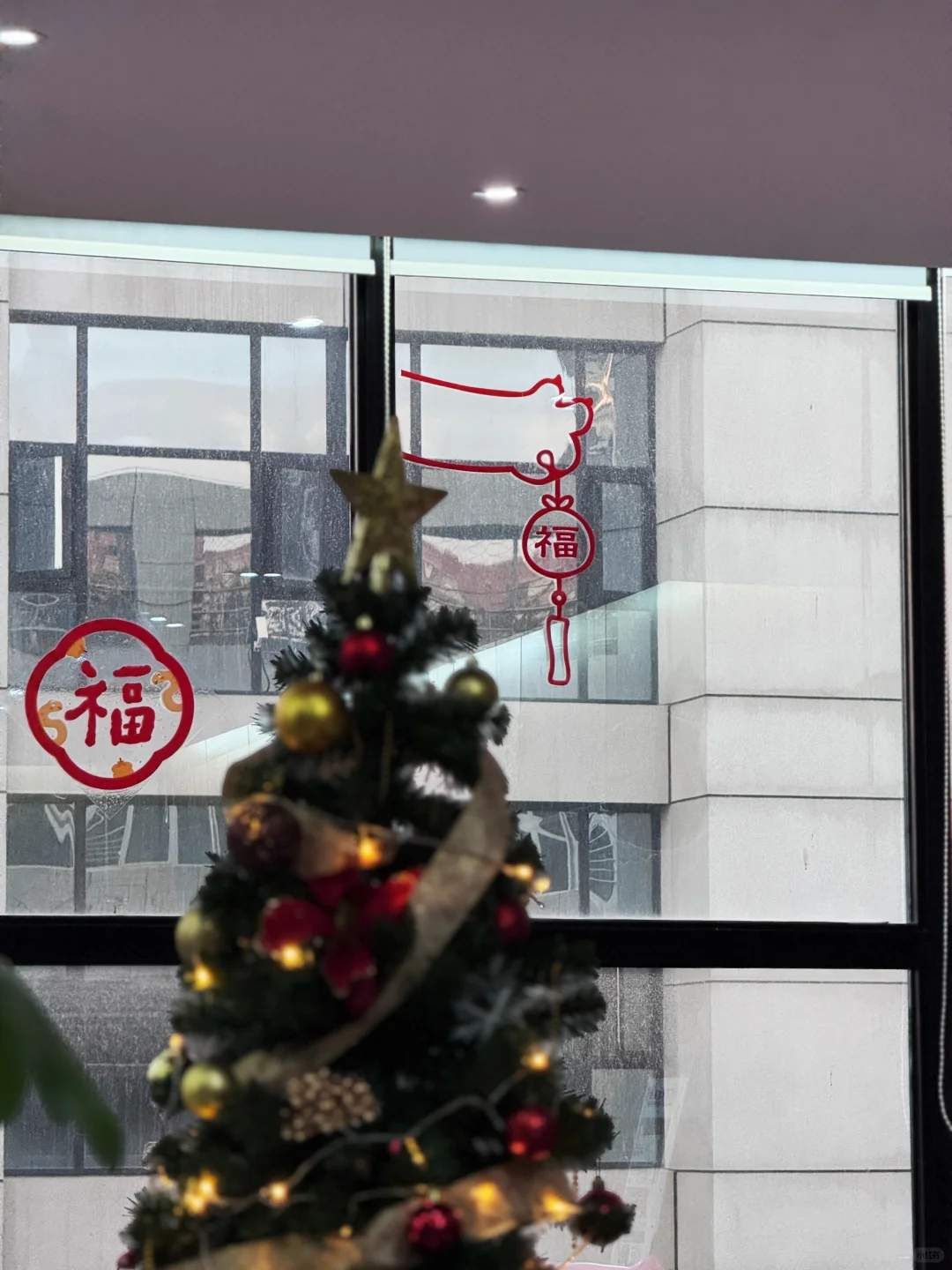 领导又双叒叕让招聘了！