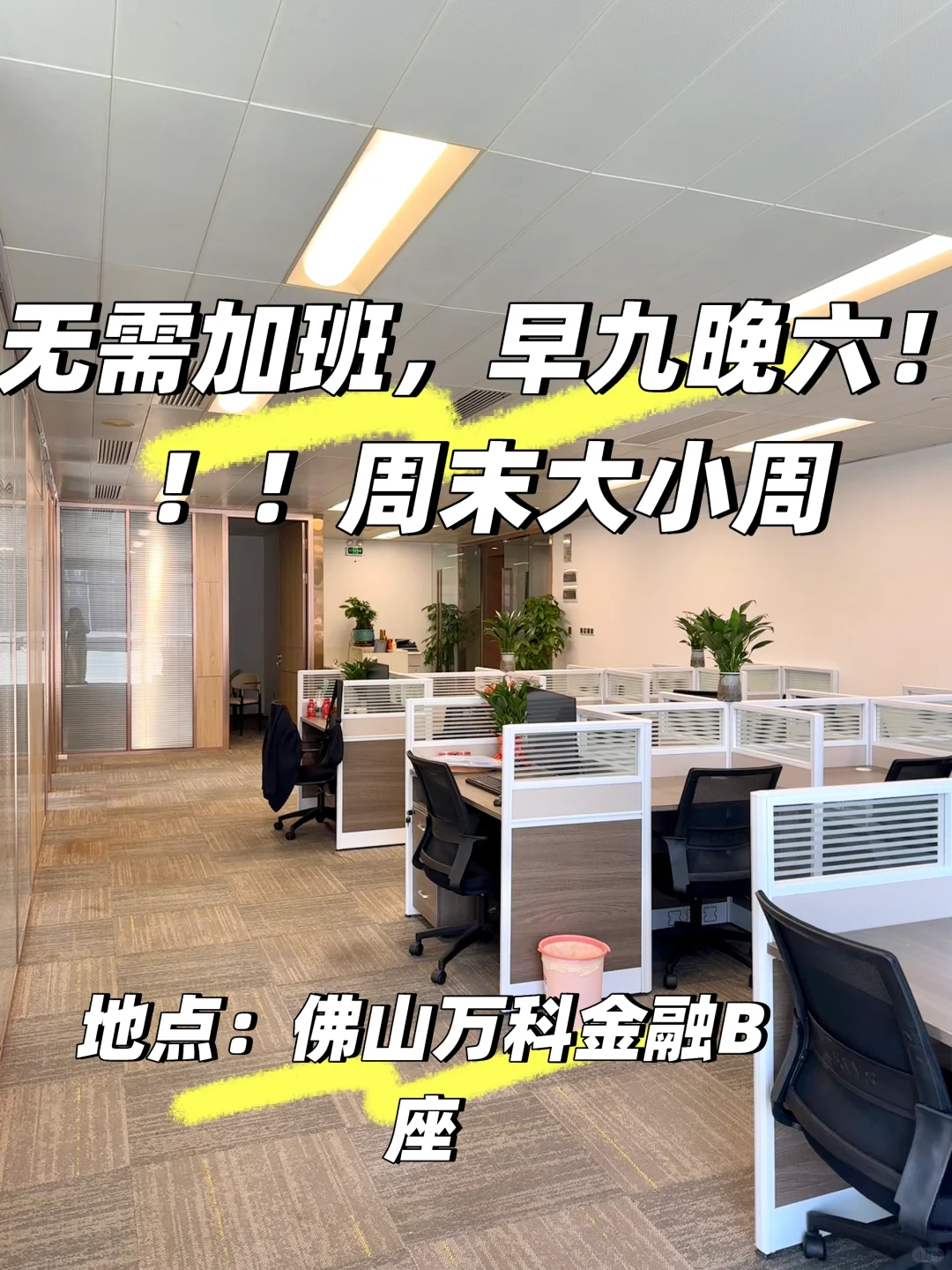 不加班真的不加班！！！