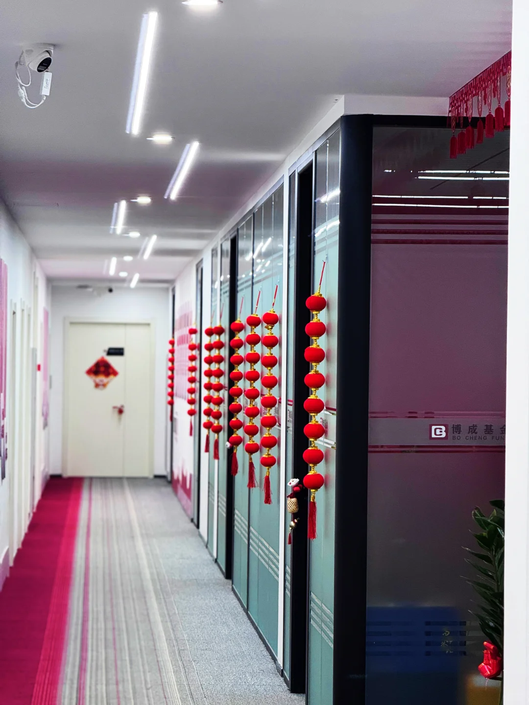 领导又双叒叕让招聘了！