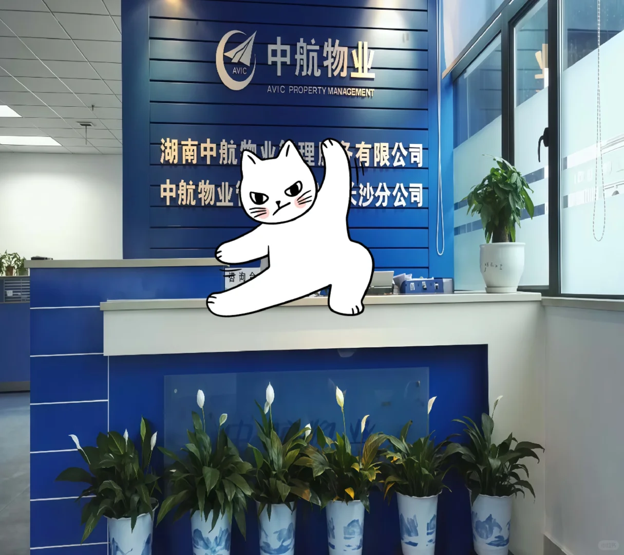 中航物业管理公司