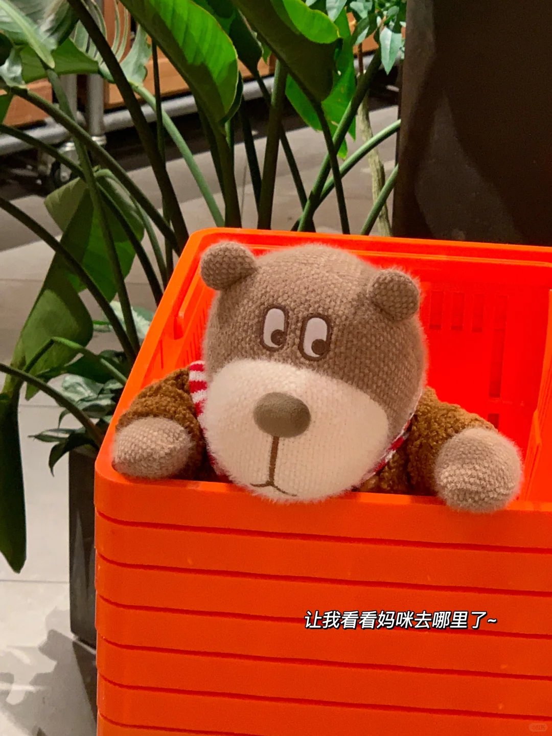 双休美妆公司/ 不要错过这49个在招岗位哇‼️