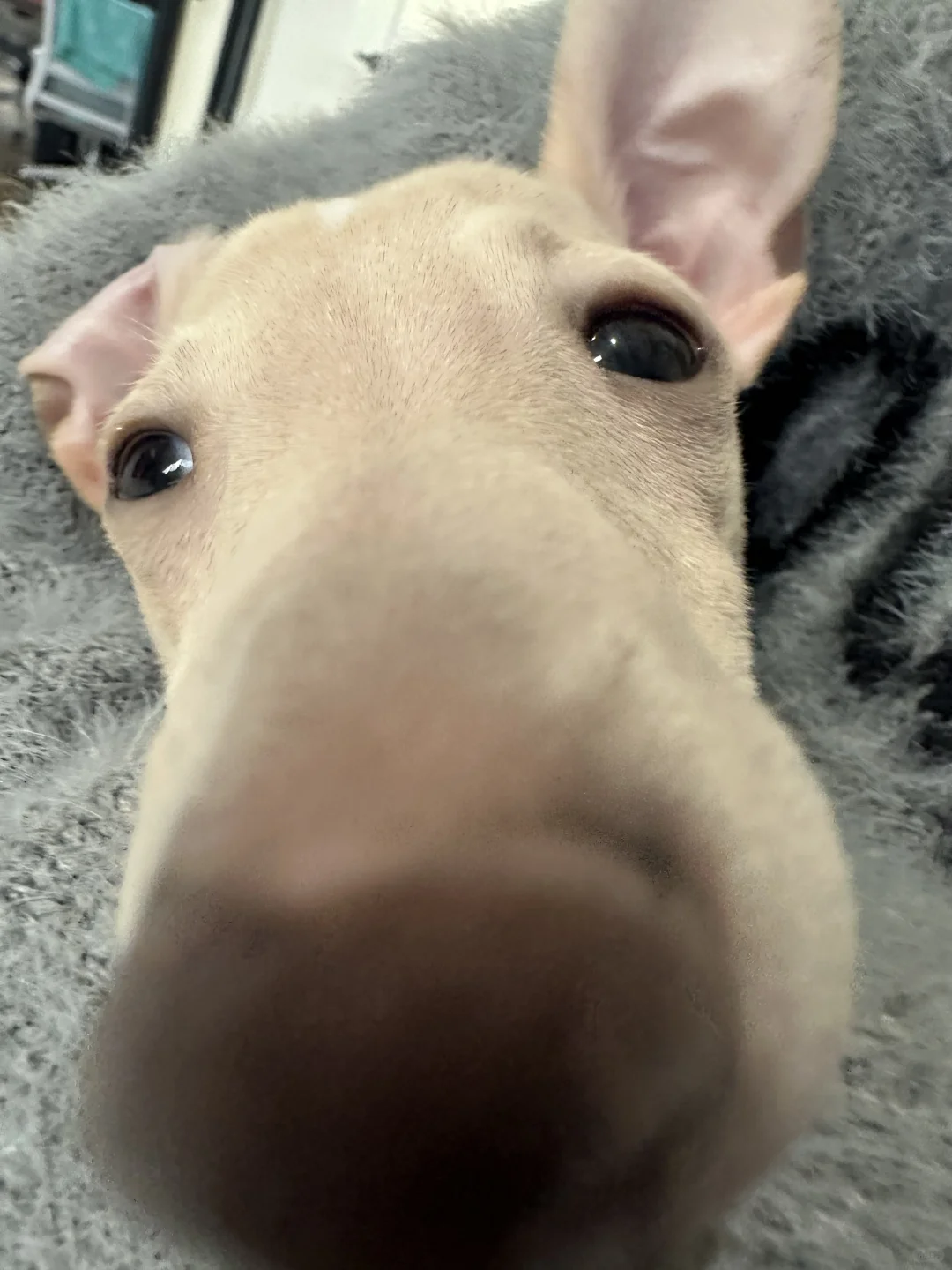 太原｜03专科只会剪映居然也能做到月入6k➕