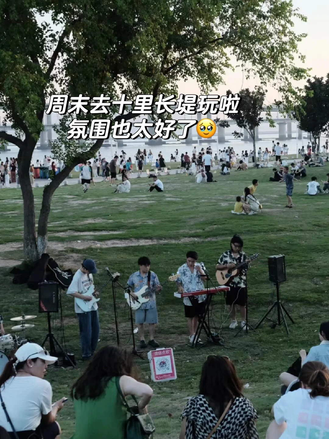 从杭州裸辞后，入职厦门神仙公司三月体验