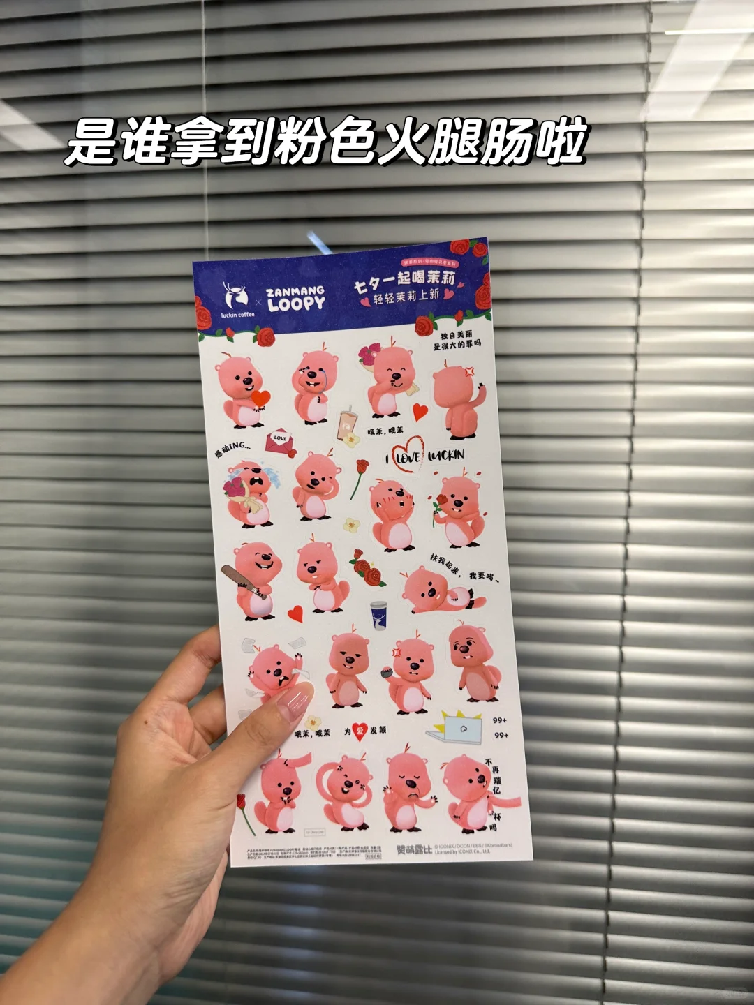 从杭州裸辞后，入职厦门神仙公司三月体验