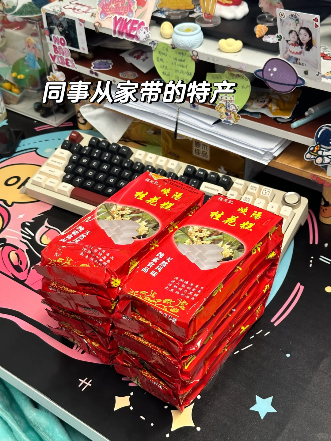 从杭州裸辞后，入职厦门神仙公司三月体验