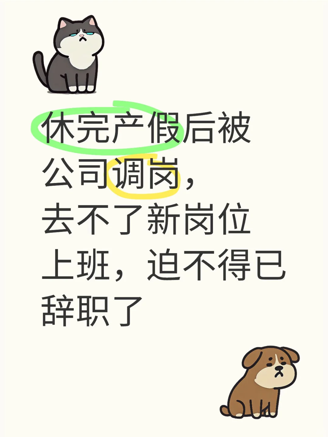 对公司很失望😭😭