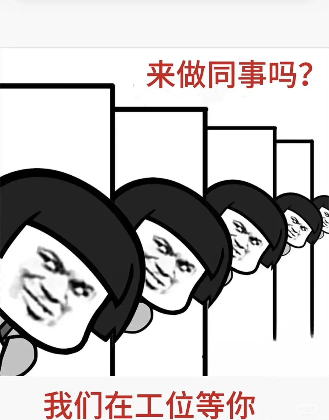 公司岗位内推啦