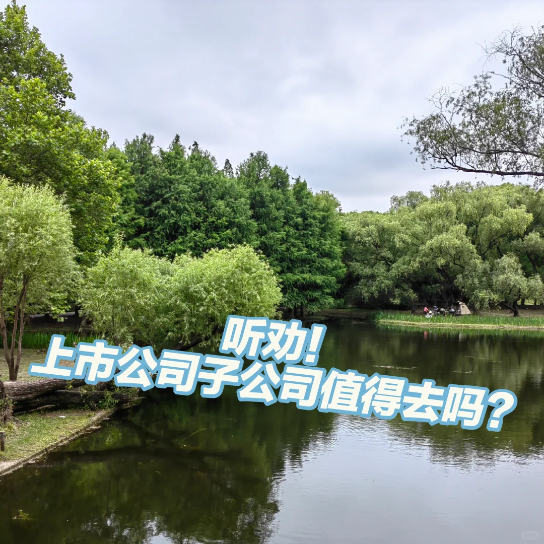 听劝！上市公司子公司值得去吗？