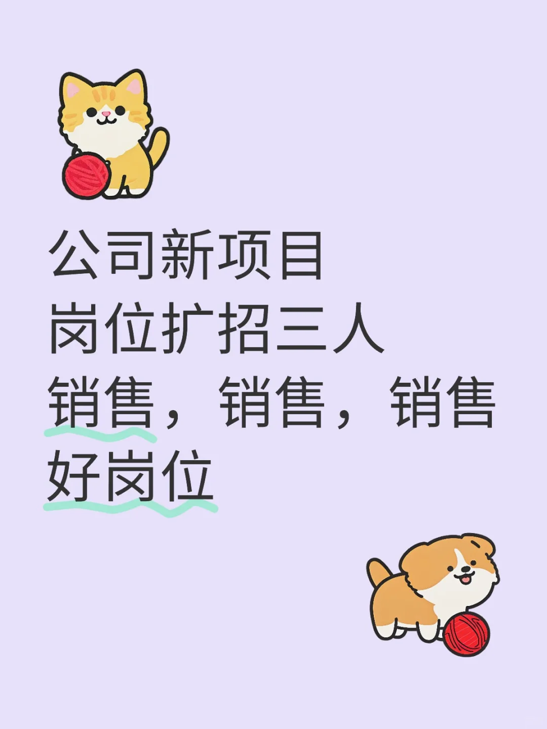 公司新项目，岗位扩招，快来找我唠唠吧