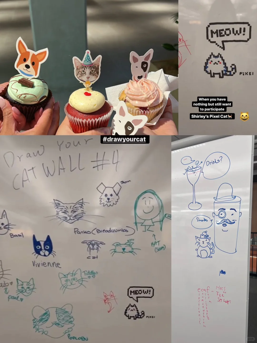 🇦🇺当我终于找到拥有优秀企业文化的公司‼️