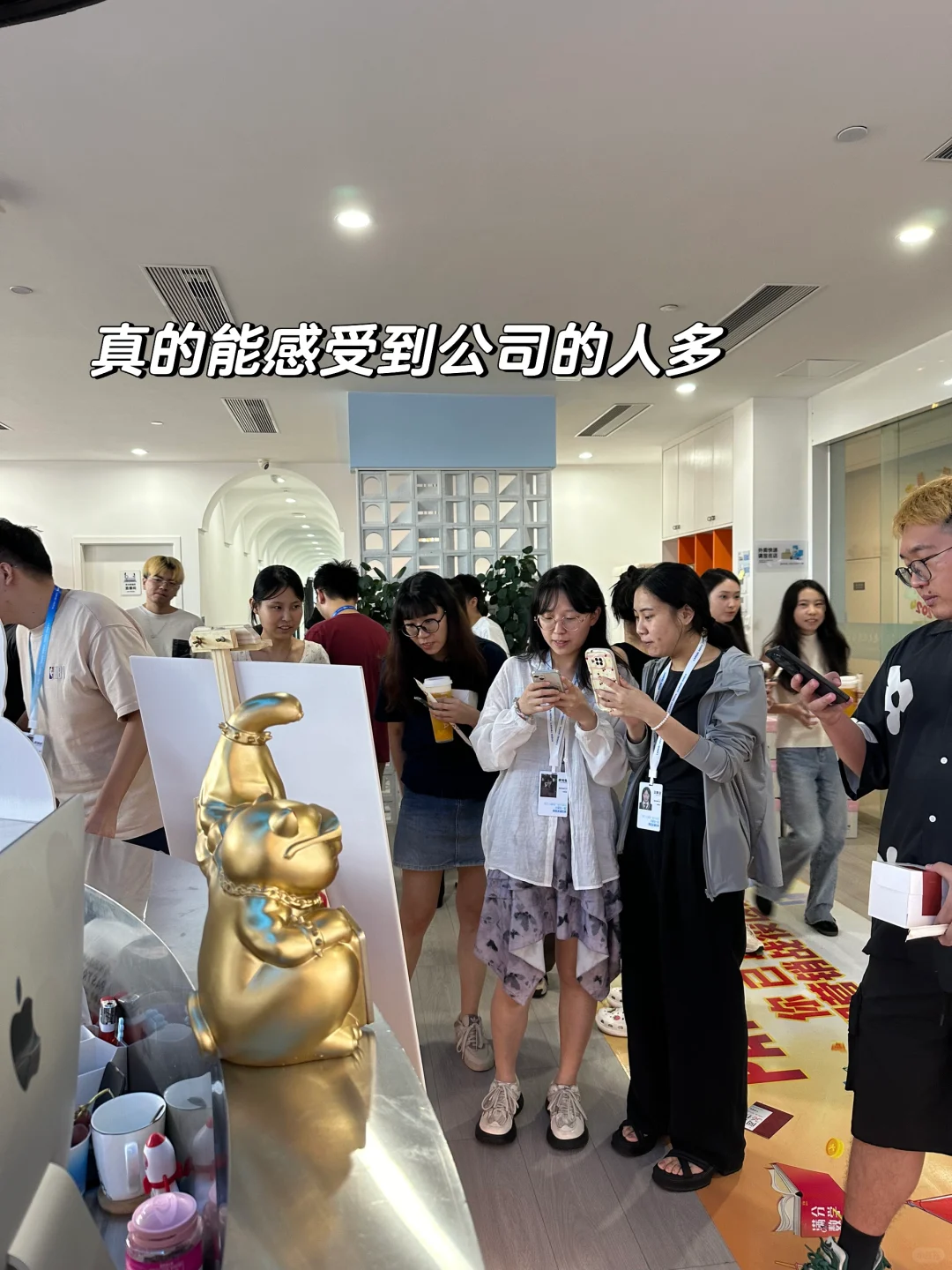 从杭州裸辞后，入职厦门神仙公司三月体验