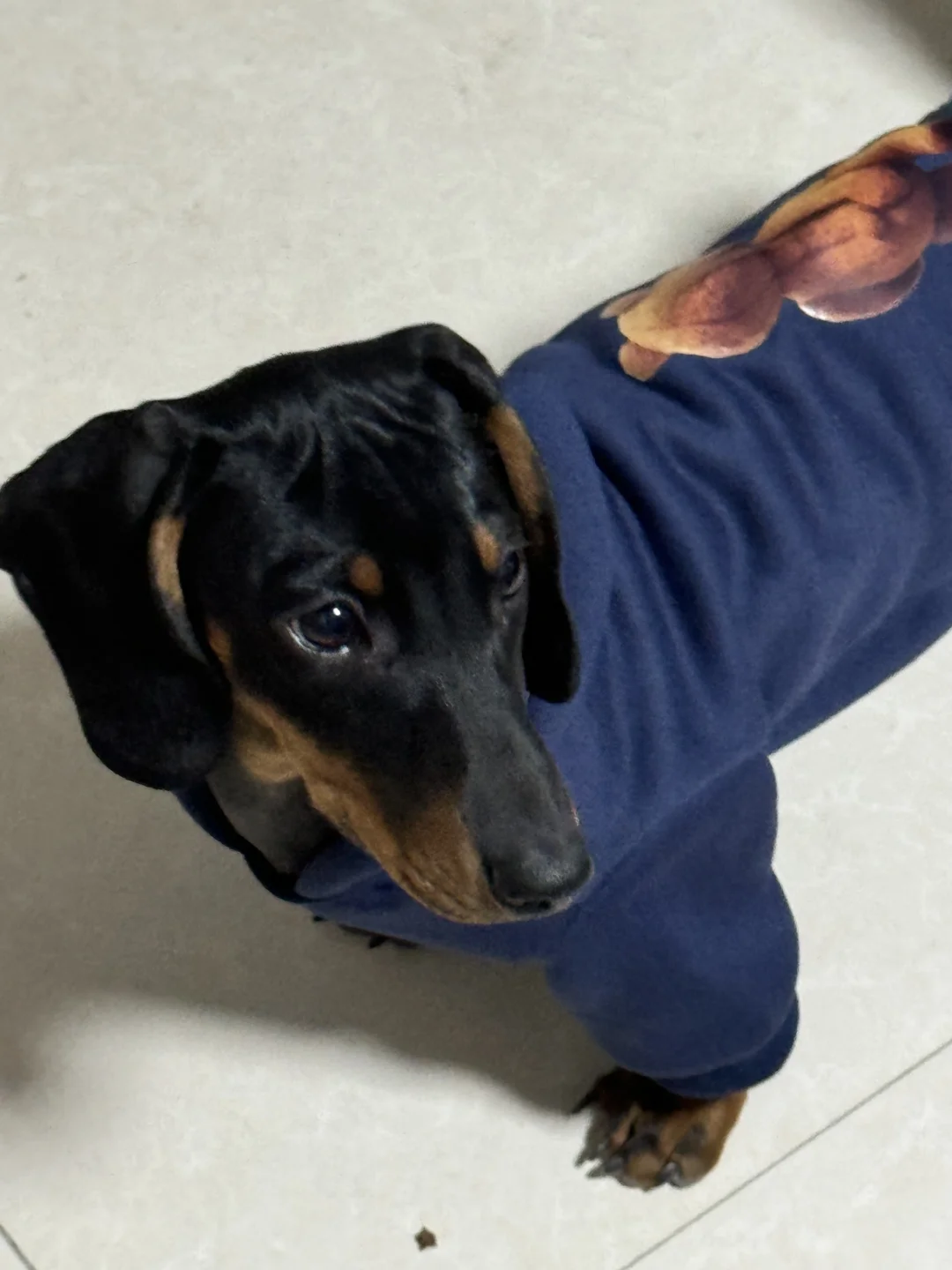 编外十年想辞职了