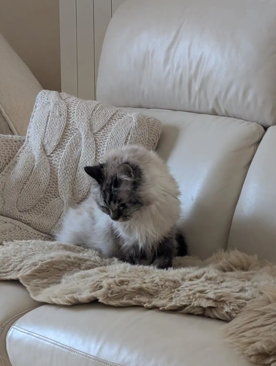 🇩🇪找工作可以投同一公司的不同岗位吗