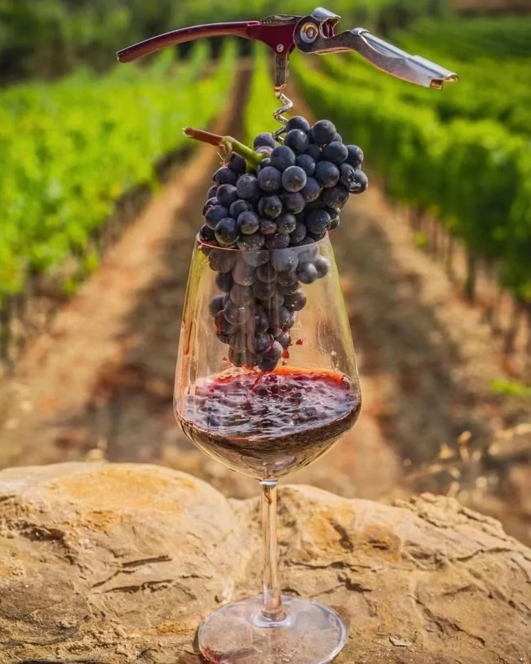 葡萄酒🍷