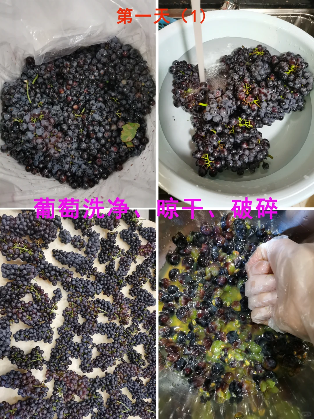 自酿葡萄酒，美乐葡萄酒，果酒香醇