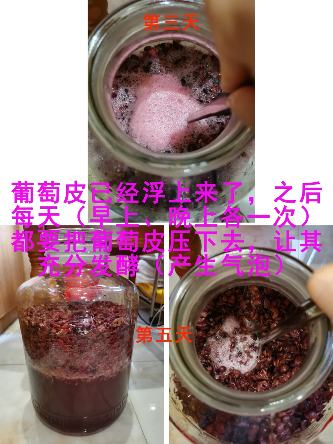 自酿葡萄酒，美乐葡萄酒，果酒香醇