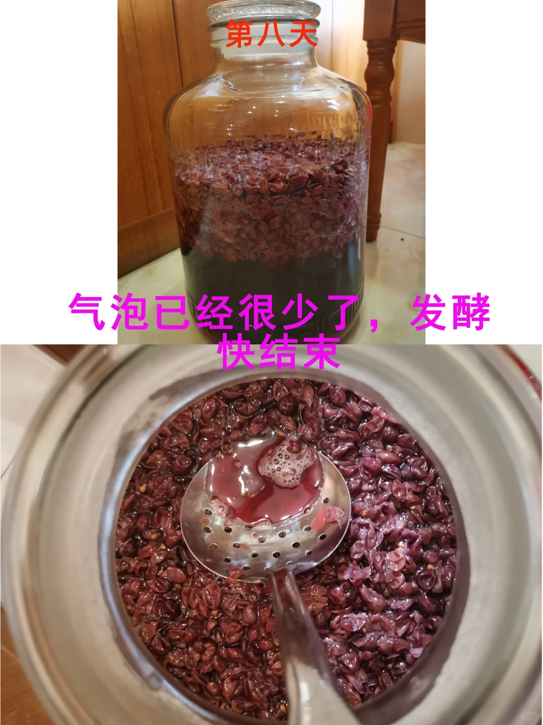 自酿葡萄酒，美乐葡萄酒，果酒香醇